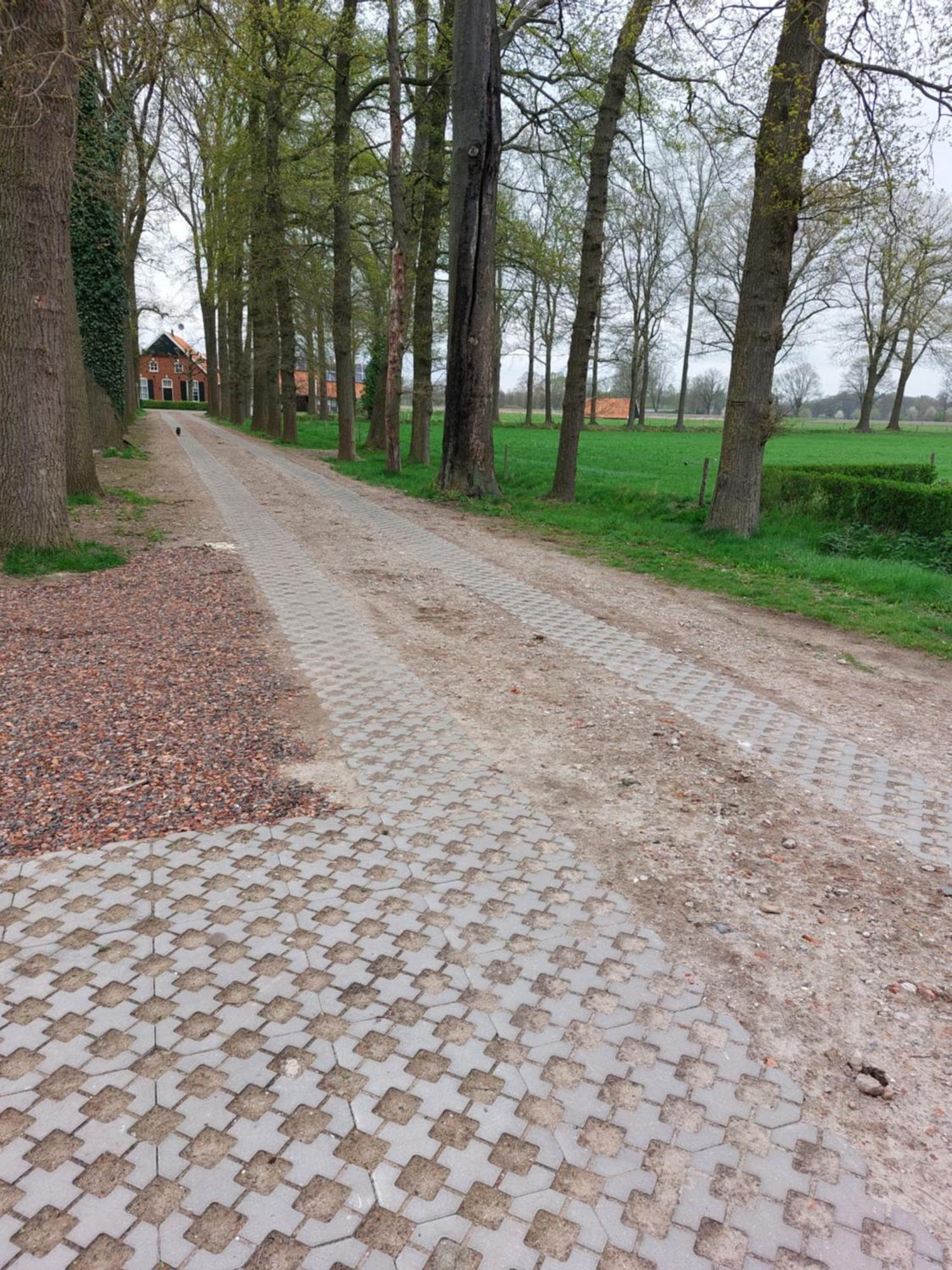 Kruisselbrink Villa Winterswijk Oda fotoğraf